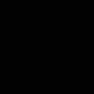 Meet your Posher, Louie